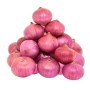 Piyaj_Onion