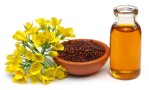 mustardoil